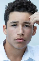 Эндрю Лайнер